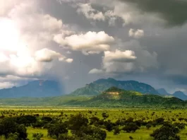 Pian Upe Wildlife Reserve in Nakapiripiriti district-Karamoja sub region