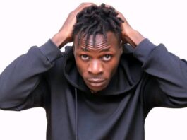 Alien Skins, Ugandan Music Artist