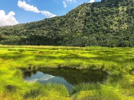 Semuliki National Park