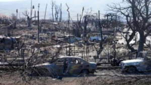 Hawaii wildfires after destroying cars