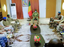 Nigerian military delegation in Mali