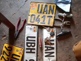 some of the recovered number plates from the stolen vehicles