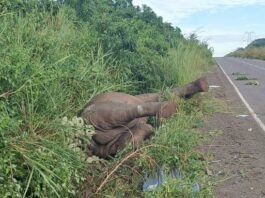 Murchison Falls National Park