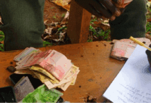 NFA Officials, Brick makers Arrested over Bribery in fight to save Kalangala Forest Reserve