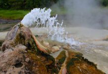 Uganda’s Sempaya Hot Springs: A Geothermal Jewel Where Nature, Culture, and Science Converge