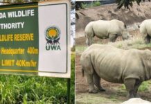 Uganda Spotlights West Nile’s Hidden Gems in World Tourism Day Festivities 2025