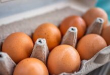 World Egg Day Expo 2025: Uganda Champions Open Innovation and Nutrition in Kampala