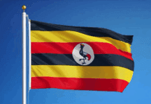 Uganda at 63: A Journey of Freedom, Resilience, and Progress