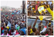 Beyond the Crowd: Do Rally Numbers Really Predict Election Outcomes?