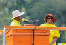 Museveni Unveils Massive Plans to Transform Dairy Farming Across Cattle Corridor