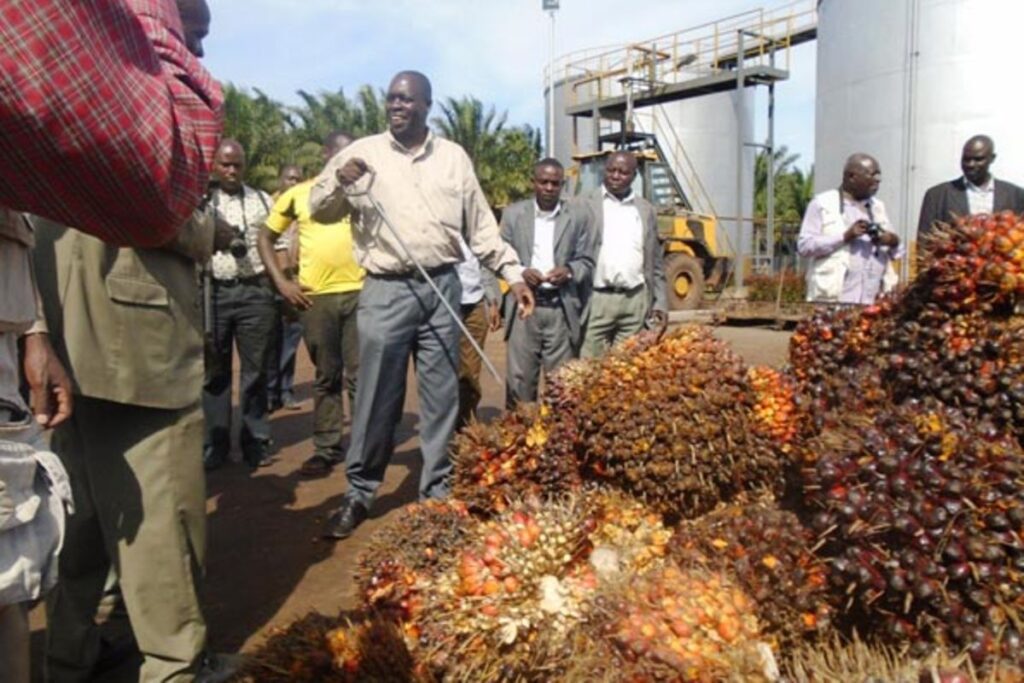 Gov't Releases UGX 24 Billion in Compensation for Oil Palm Project ...