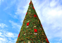 Kampala Shines with Faith and Festivity as Watoto Church Lights Uganda’s Tallest Christmas Tree