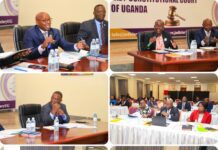 Judiciary Strategic Plan Focuses on Peace, Justice and Strong Institutions