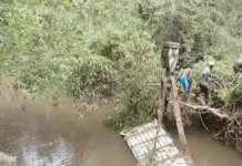 Seven Swept Away by River Nyagak Waters in Zombo Taxi Incident