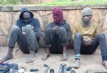 Four in Custody Over Cattle Theft and Armed Robbery in Wakiso