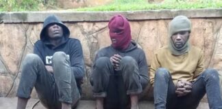 Four in Custody Over Cattle Theft and Armed Robbery in Wakiso