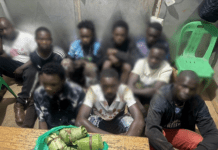 Police Arrest 64 Suspects in Coordinated Overnight Raids Across Kampala