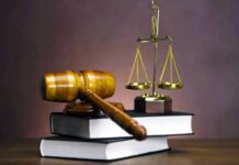 Candles in the Wind: Why the Judiciary Deserves More Than Simple Criticism