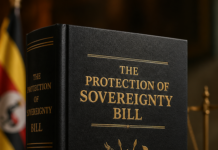 GOVERNMENT REVISES SOVEREIGNTY BILL, TIGHTENS ‘FOREIGN AGENT’ DEFINITION AMID BACKLASH