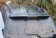 SHEEMA: Eight Die in Early Morning Crash in Kabwohe