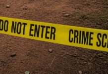 Two Arrested as Police Probe Suspected Murder in Kira