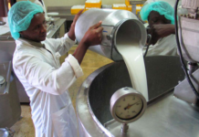 Uganda’s Milk Production Jumps from 200 Million to 5.4 Billion Litres, Museveni Tells Parliament