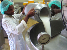 Uganda’s Milk Production Jumps from 200 Million to 5.4 Billion Litres, Museveni Tells Parliament
