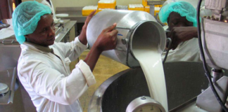 Uganda’s Milk Production Jumps from 200 Million to 5.4 Billion Litres, Museveni Tells Parliament
