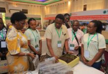 From Insects to Income: How Mityana Women are Building a New Livelihood
