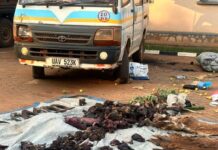 22 Arrested in Nakaseke Over Alleged Illegal Wildlife Possession