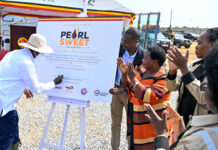 President Museveni Names Uganda’s Crude ‘Pearl Sweet’ as First Oil Nears