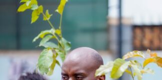 NUP Launches Tree Planting Campaign to Celebrate Bobi Wine’s Day