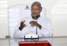 Museveni Urges Africa to Prioritise Continental Integration in Meeting with Commonwealth Chief